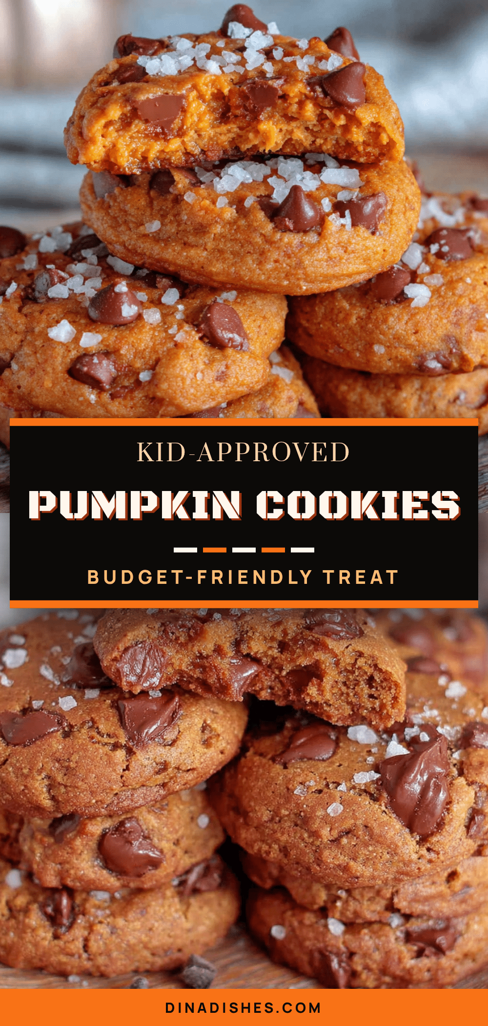 pumpkin chocolate chip cookies recipe