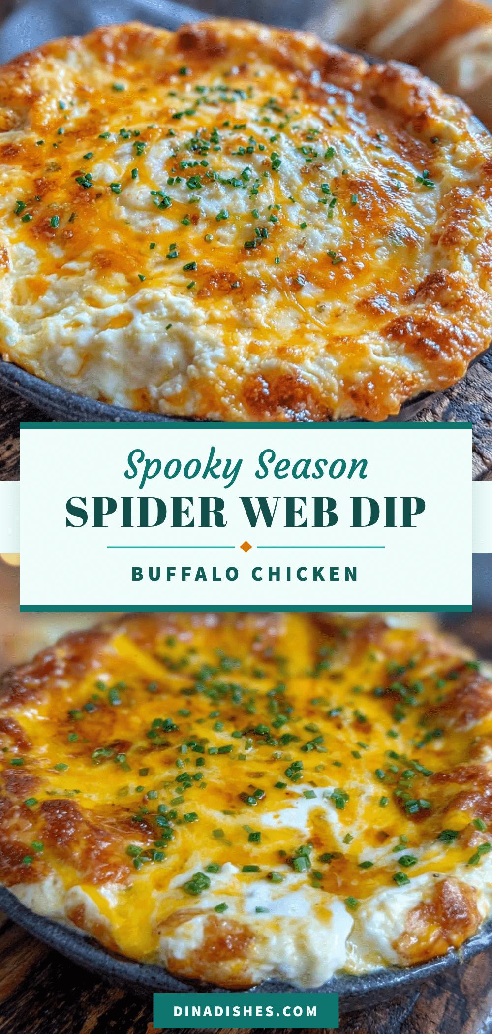 spider web buffalo chicken dip recipe