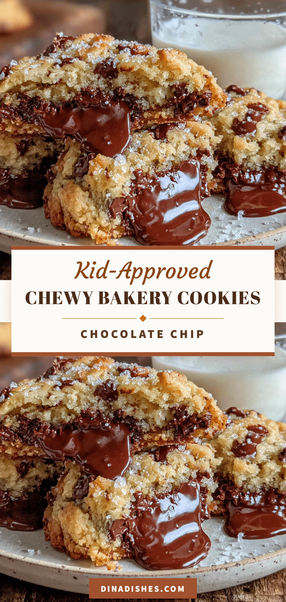 chewy chocolate chip cookies recipe