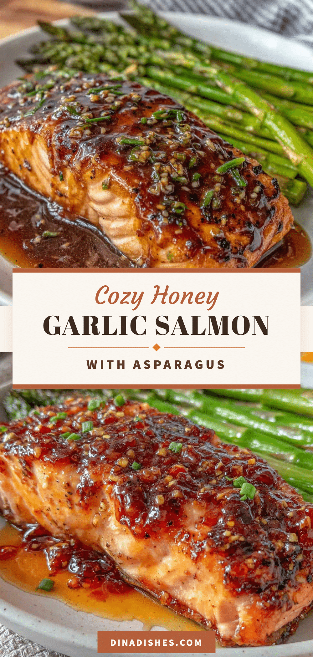 cozy honey garlic salmon recipe
