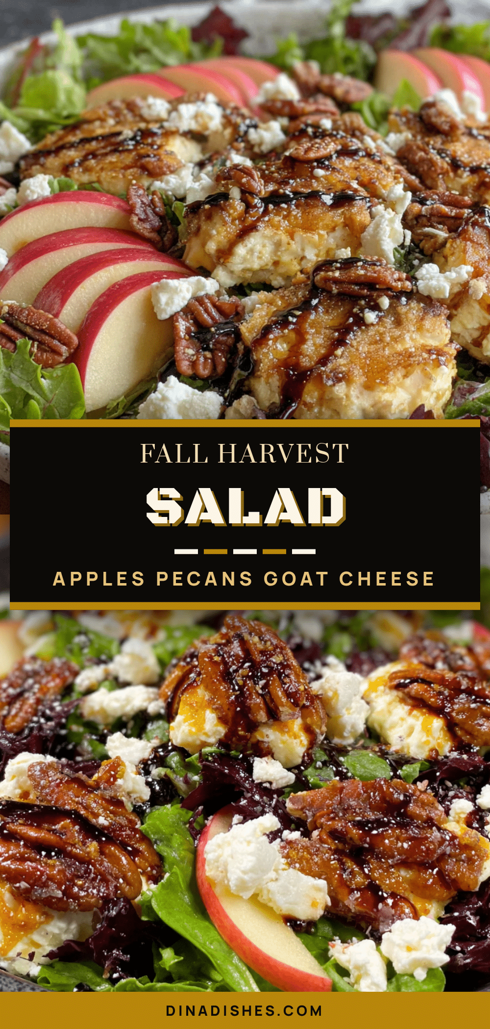 fall harvest salad recipe