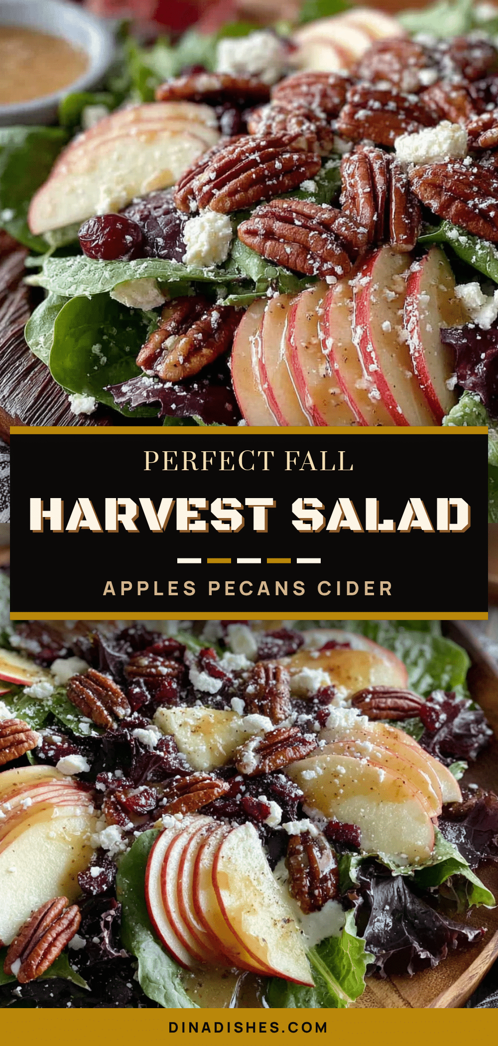 fall harvest salad with apples and pecans recipe