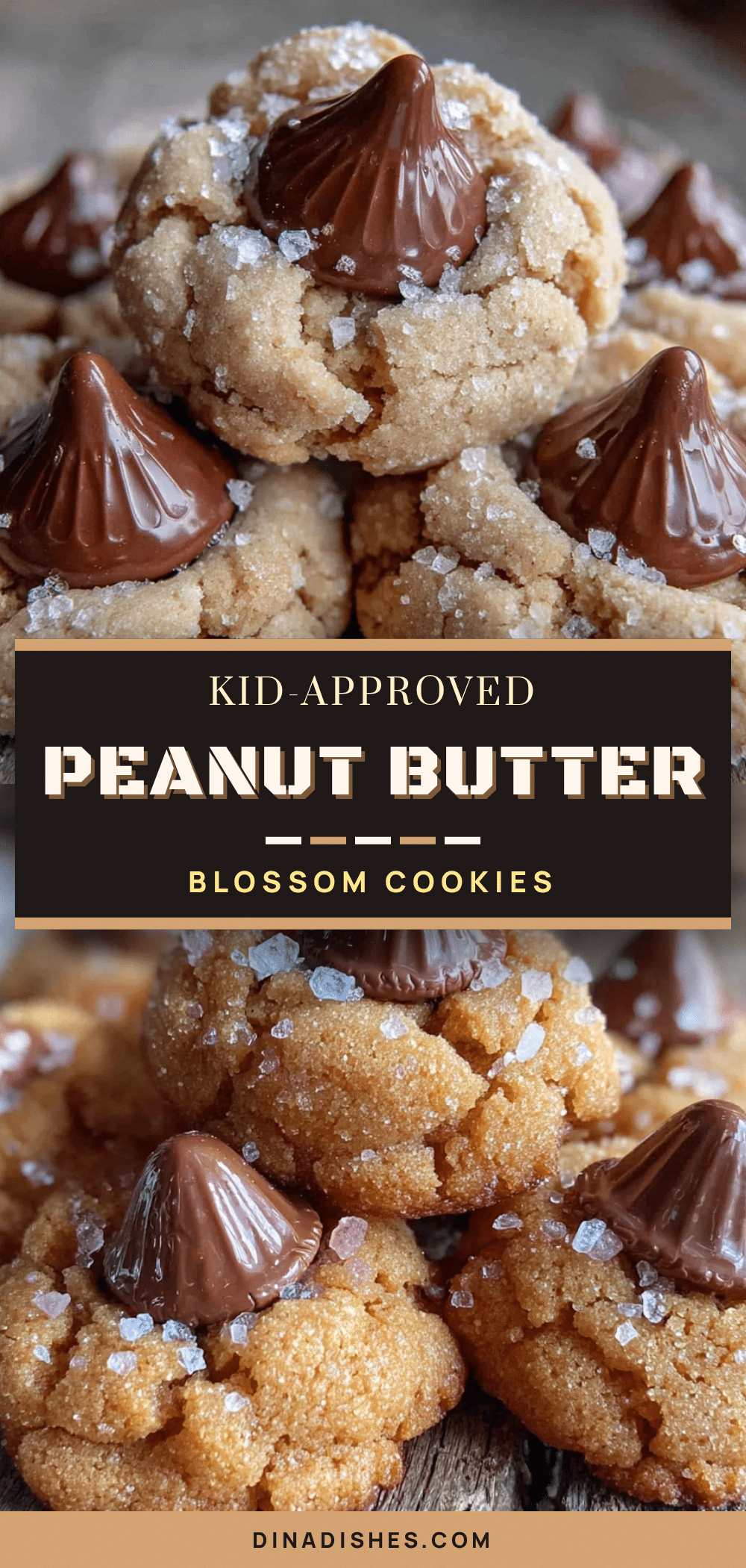 peanut butter blossom cookies recipe