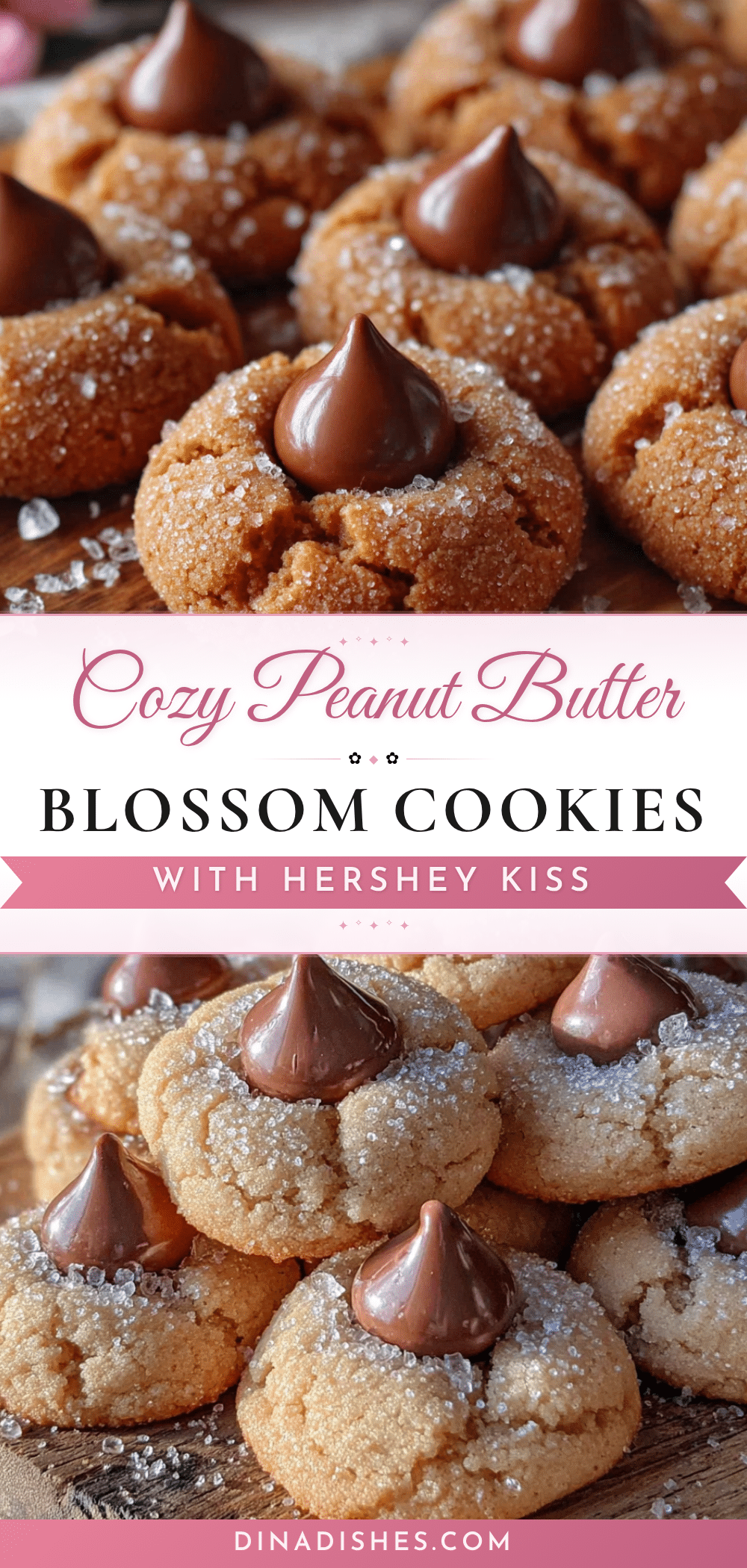 Peanut butter blossom cookies recipe