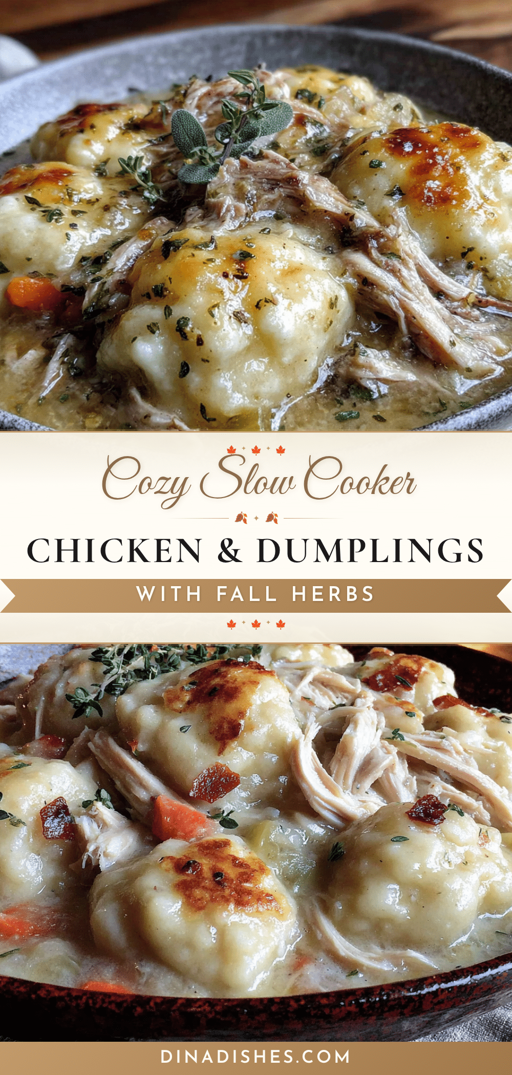 slow cooker chicken and dumplings recipe