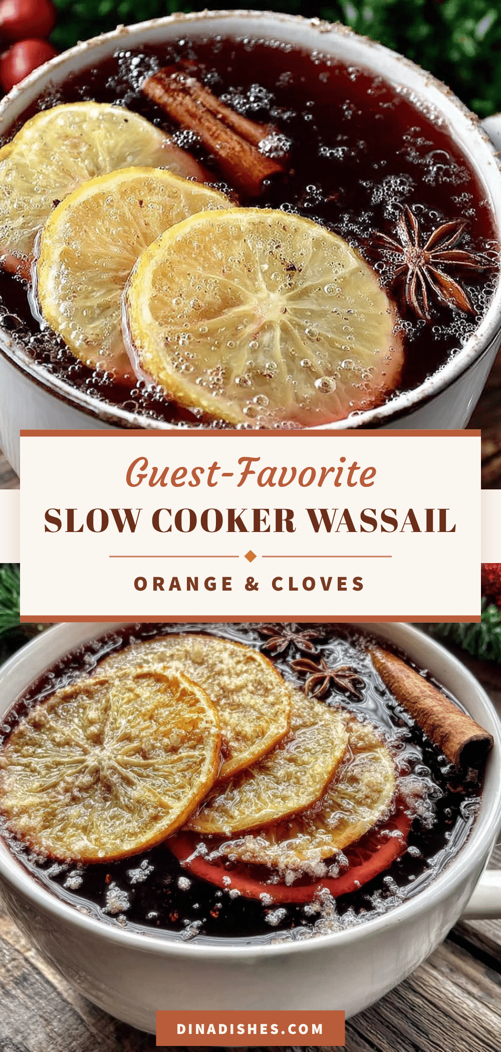 slow cooker wassail with orange and cloves recipe