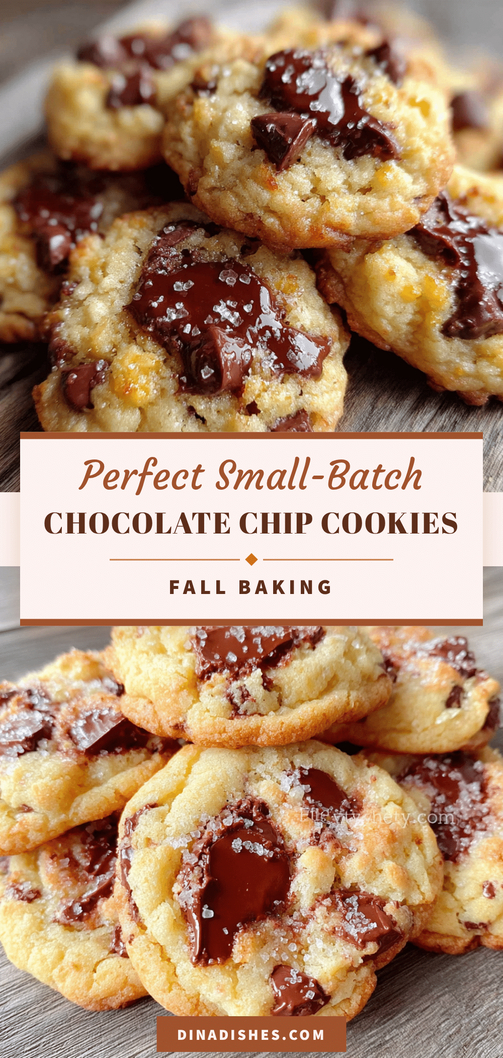 small-batch chocolate chip cookies recipe