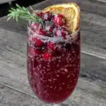 Sparkling Cranberry Ginger Holiday Mocktail - featured image