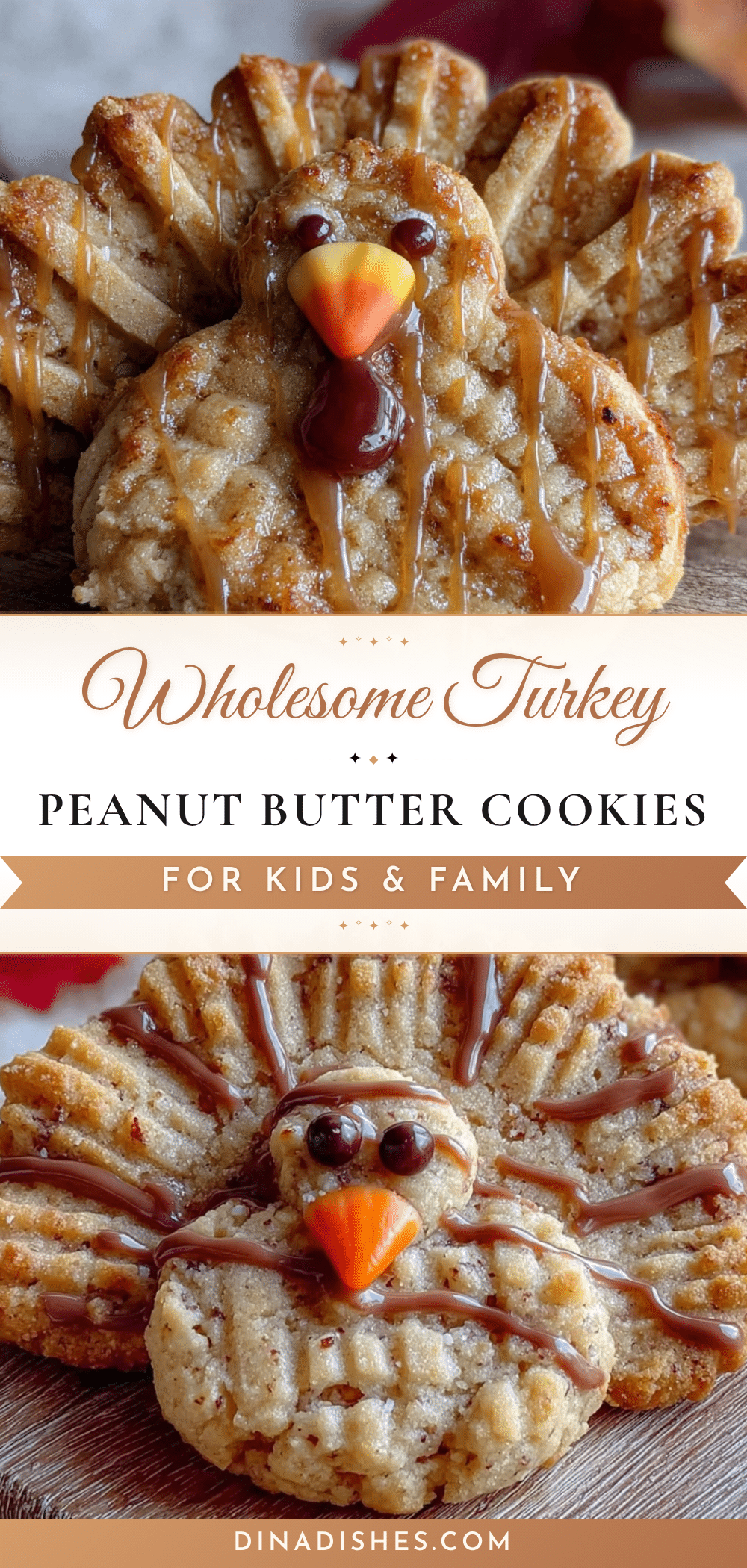 wholesome turkey peanut butter cookies recipe